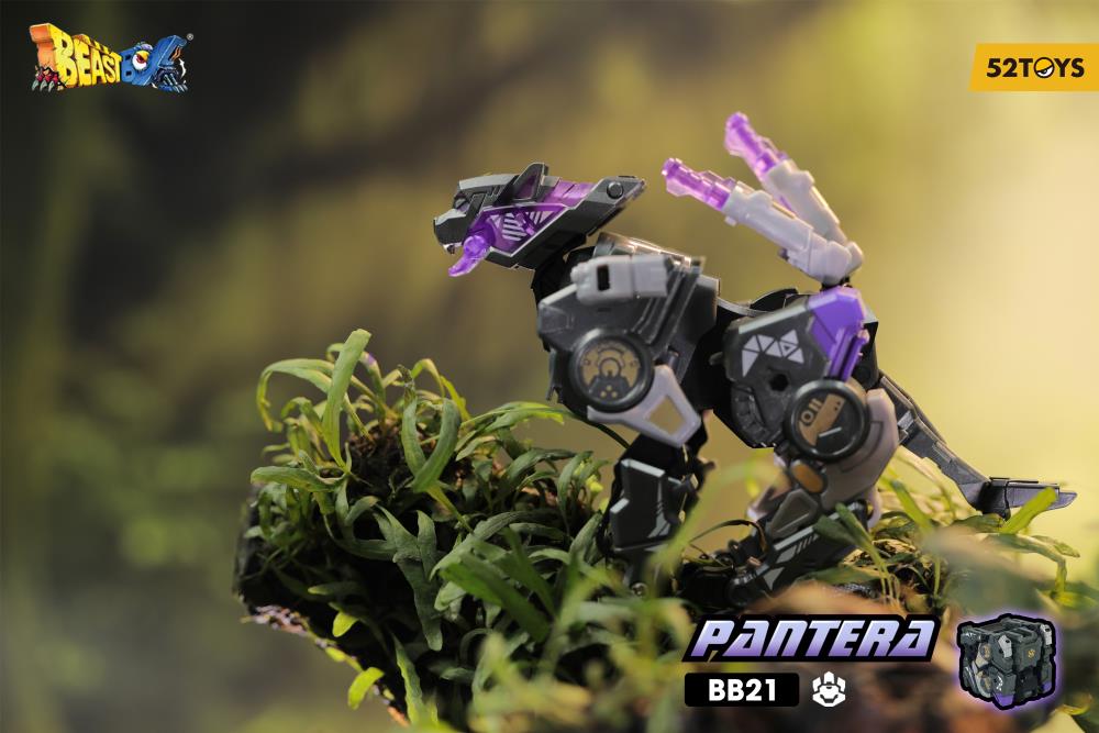 Thumbnail 11