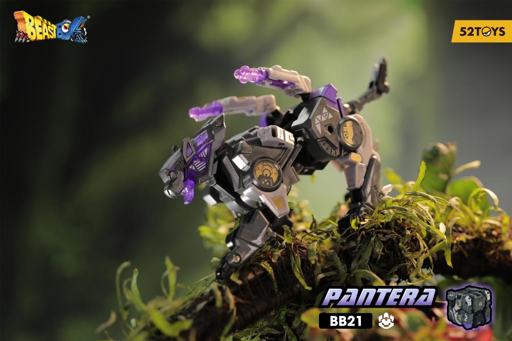 Thumbnail 12