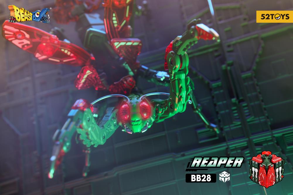 Thumbnail 11