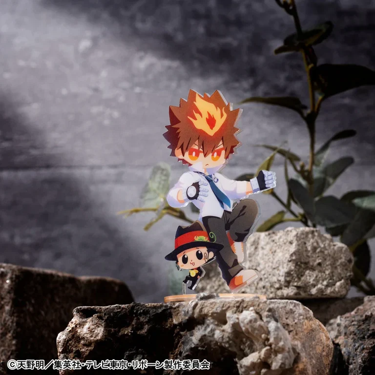 Thumbnail 8