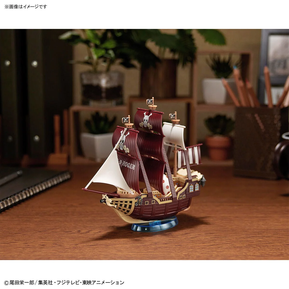 Thumbnail 11